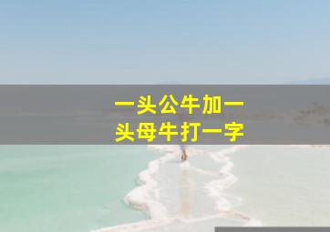 一头公牛加一头母牛打一字