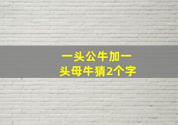 一头公牛加一头母牛猜2个字