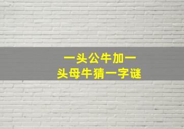 一头公牛加一头母牛猜一字谜