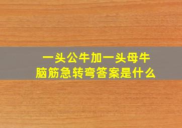 一头公牛加一头母牛脑筋急转弯答案是什么