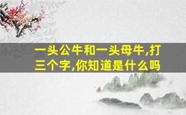 一头公牛和一头母牛,打三个字,你知道是什么吗