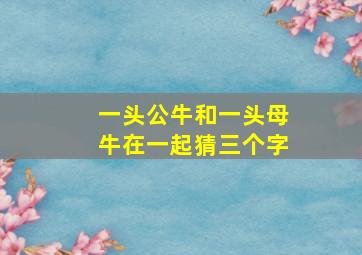 一头公牛和一头母牛在一起猜三个字