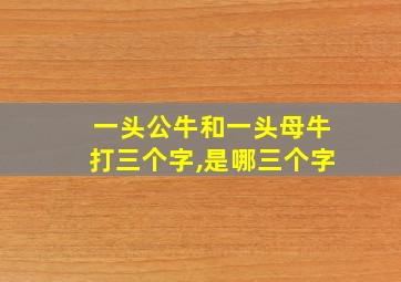 一头公牛和一头母牛打三个字,是哪三个字