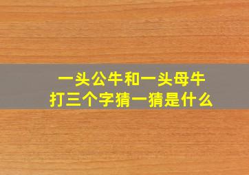 一头公牛和一头母牛打三个字猜一猜是什么