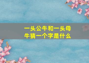 一头公牛和一头母牛猜一个字是什么