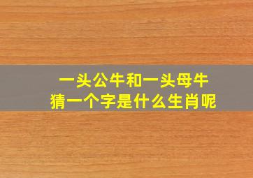 一头公牛和一头母牛猜一个字是什么生肖呢