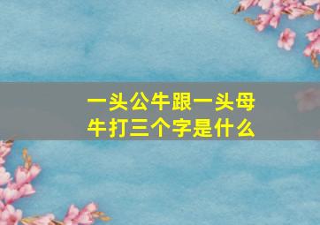 一头公牛跟一头母牛打三个字是什么