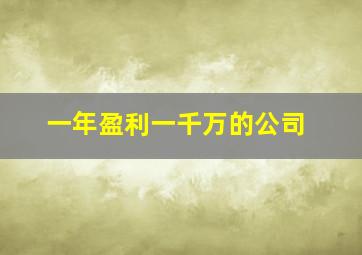 一年盈利一千万的公司