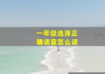 一年级选择正确读音怎么读