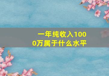 一年纯收入1000万属于什么水平