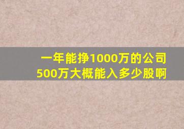 一年能挣1000万的公司500万大概能入多少股啊