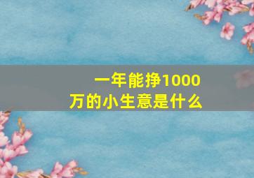 一年能挣1000万的小生意是什么