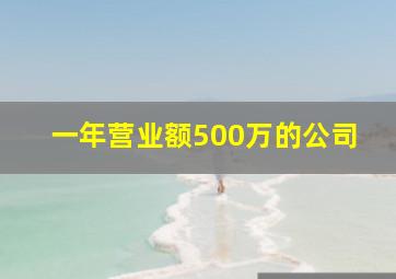 一年营业额500万的公司