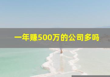 一年赚500万的公司多吗