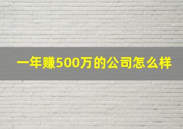 一年赚500万的公司怎么样