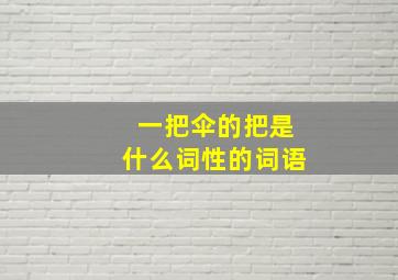 一把伞的把是什么词性的词语