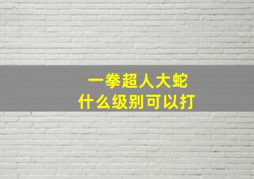 一拳超人大蛇什么级别可以打