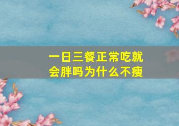 一日三餐正常吃就会胖吗为什么不瘦