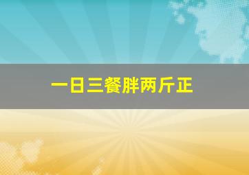 一日三餐胖两斤正