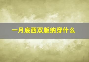 一月底西双版纳穿什么