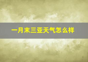 一月末三亚天气怎么样