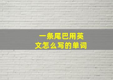 一条尾巴用英文怎么写的单词