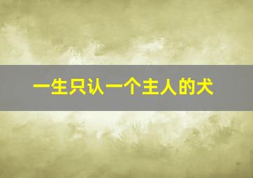 一生只认一个主人的犬