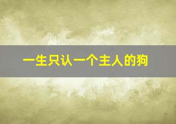 一生只认一个主人的狗