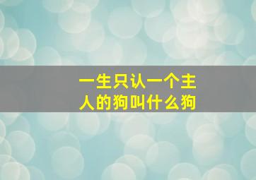 一生只认一个主人的狗叫什么狗