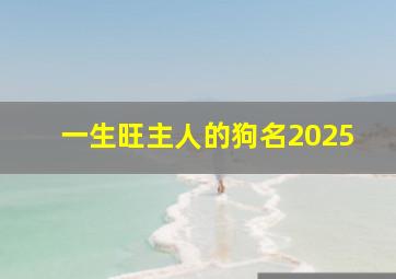 一生旺主人的狗名2025