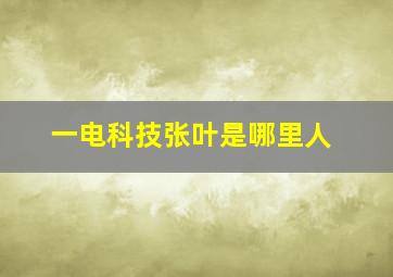 一电科技张叶是哪里人