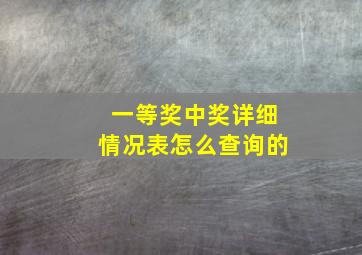 一等奖中奖详细情况表怎么查询的