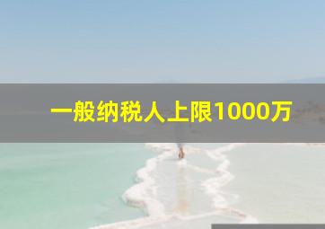 一般纳税人上限1000万