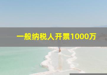 一般纳税人开票1000万