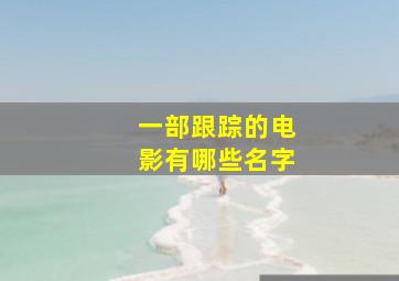 一部跟踪的电影有哪些名字