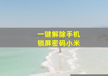 一键解除手机锁屏密码小米