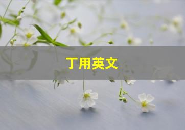 丁用英文