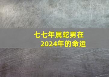 七七年属蛇男在2024年的命运