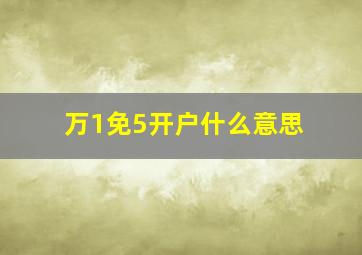 万1免5开户什么意思