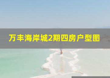 万丰海岸城2期四房户型图