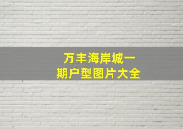 万丰海岸城一期户型图片大全