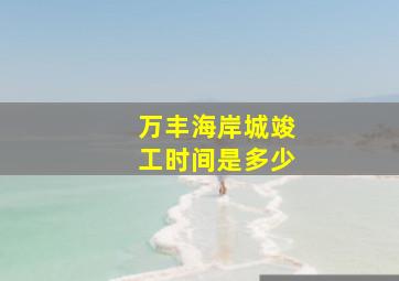 万丰海岸城竣工时间是多少