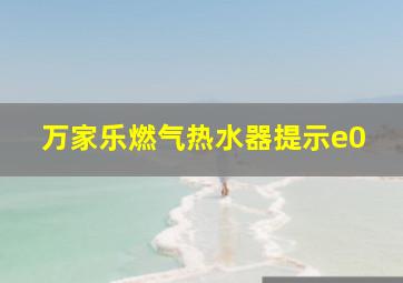 万家乐燃气热水器提示e0