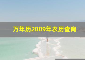 万年历2009年农历查询