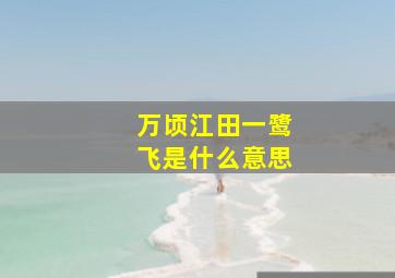 万顷江田一鹭飞是什么意思