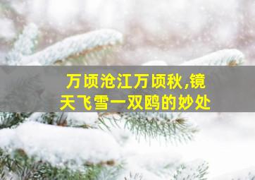 万顷沧江万顷秋,镜天飞雪一双鸥的妙处