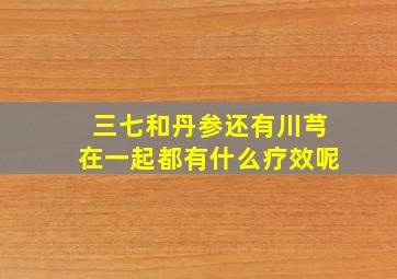 三七和丹参还有川芎在一起都有什么疗效呢