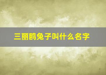 三丽鸥兔子叫什么名字