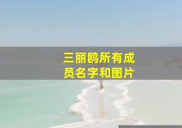 三丽鸥所有成员名字和图片