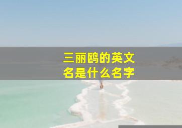 三丽鸥的英文名是什么名字